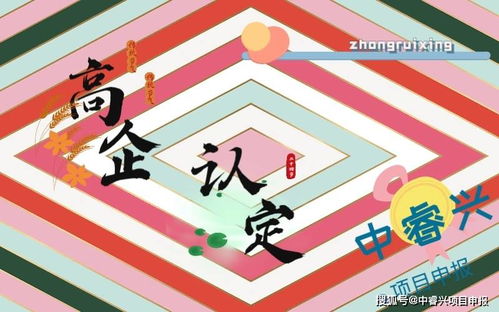 数字动漫制作企业如何申报苏州高新技术企业认定