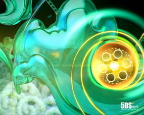 北京5DS 数字艺术领域的综合领航者